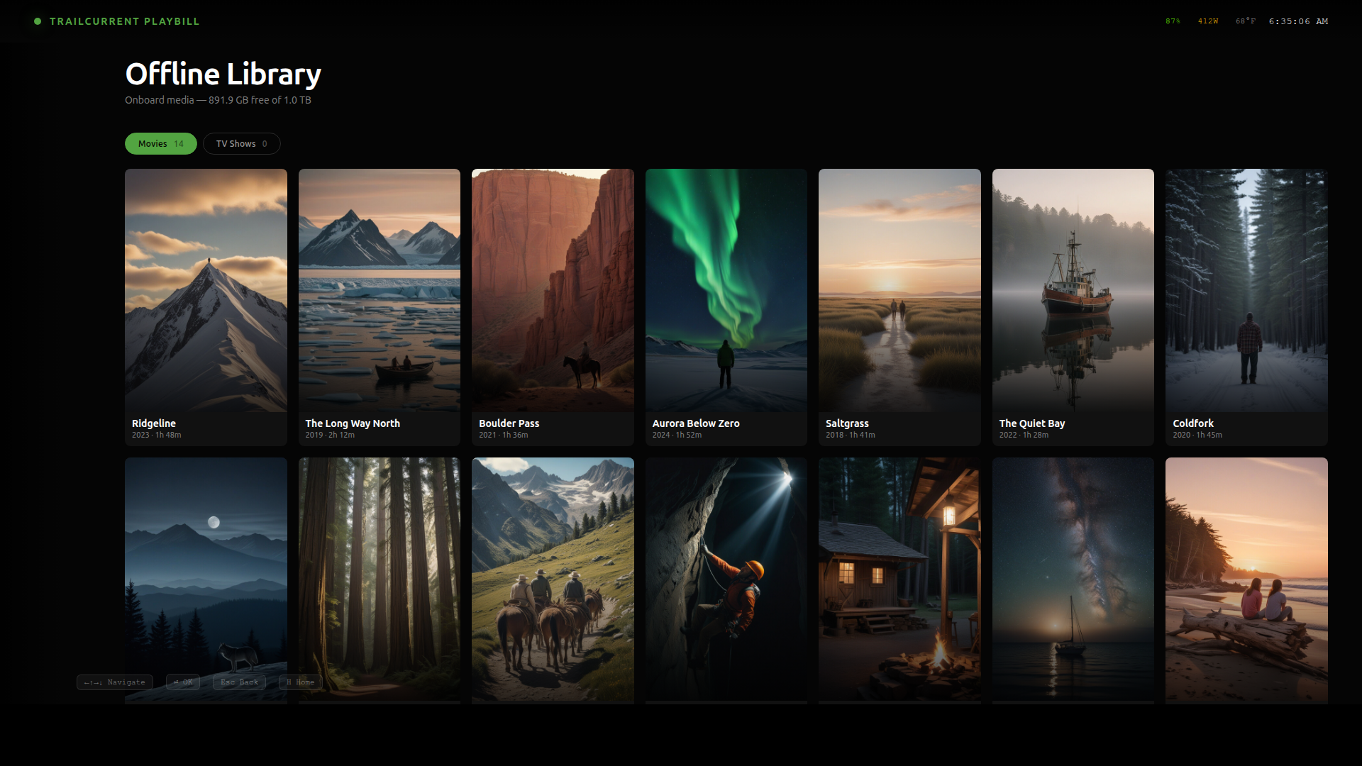 Playbill Offline Library tab populated with fourteen movie posters arranged in a seven-column grid, with Movies (14) and TV Shows (0) filter chips at the top and an "892.4 GB free of 1.0 TB" disk-space line beneath the heading